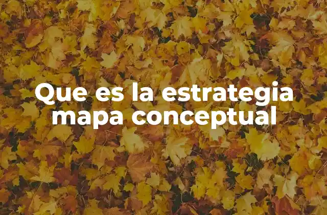 Que es la Estrategia Mapa Conceptual