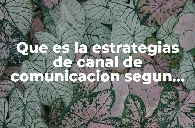 Que es la Estrategias de Canal de Comunicacion Segun Autores