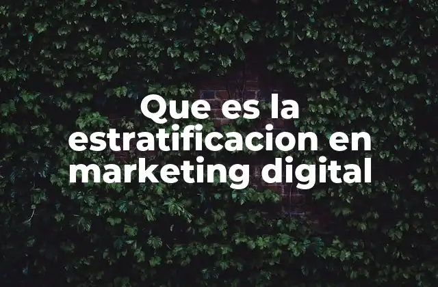 Que es la Estratificacion en Marketing Digital