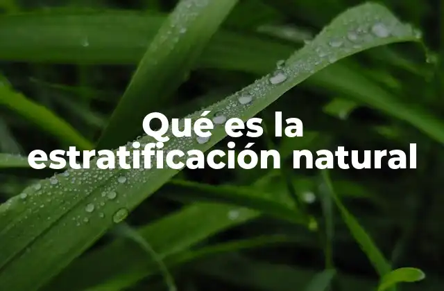 Qué es la Estratificación Natural