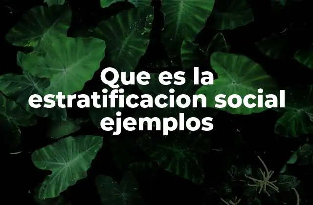 Que es la Estratificacion Social Ejemplos