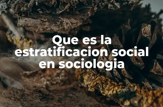 Que es la Estratificacion Social en Sociologia
