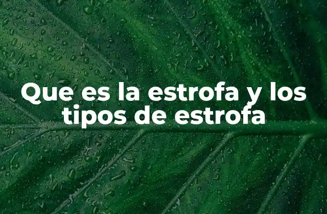 La organización de la poesía a través de las estrofas