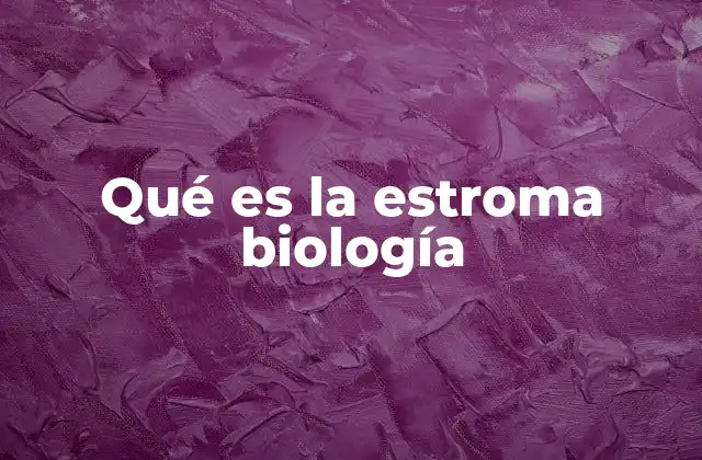 Qué es la Estroma Biología