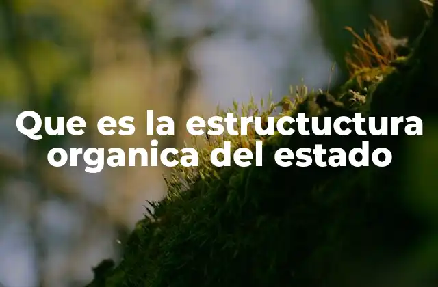 Que es la Estructuctura Organica Del Estado