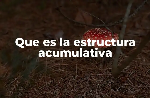 Que es la Estructura Acumulativa