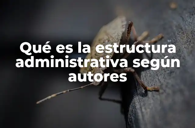 Qué es la Estructura Administrativa según Autores