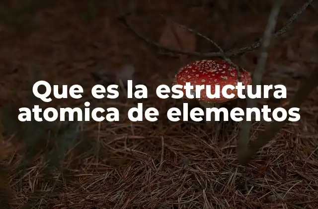 Que es la Estructura Atomica de Elementos