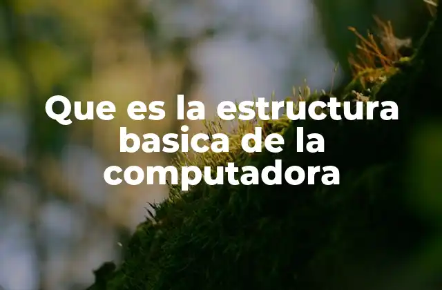 Que es la Estructura Basica de la Computadora