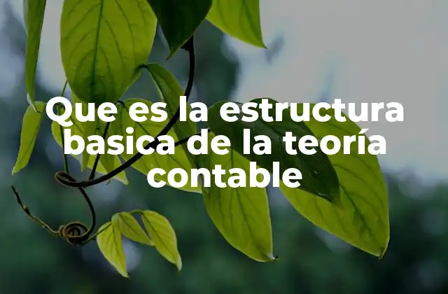 Que es la Estructura Basica de la Teoría Contable