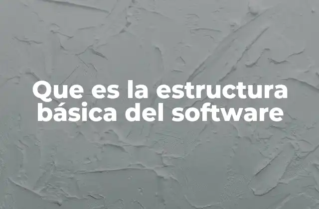 Que es la Estructura Básica Del Software