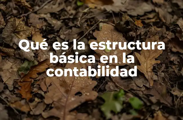 Qué es la Estructura Básica en la Contabilidad