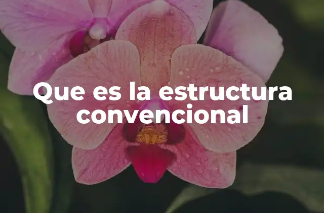 Que es la Estructura Convencional
