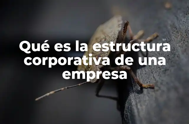 Qué es la Estructura Corporativa de una Empresa
