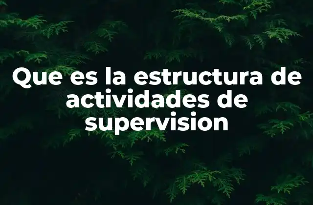 Que es la Estructura de Actividades de Supervision