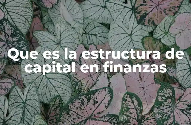 Que es la Estructura de Capital en Finanzas