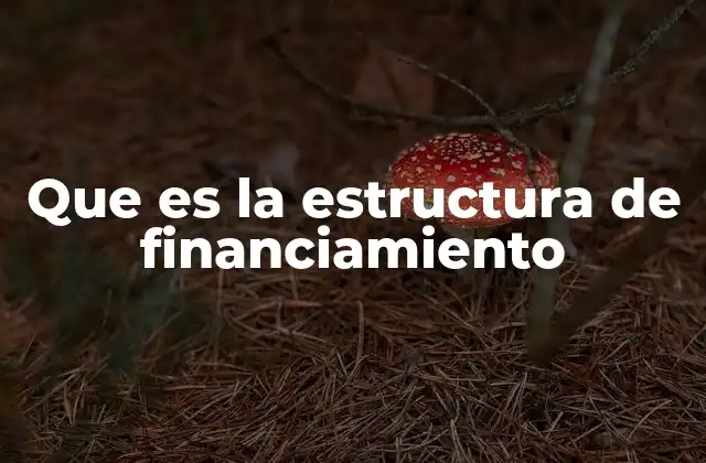Que es la Estructura de Financiamiento