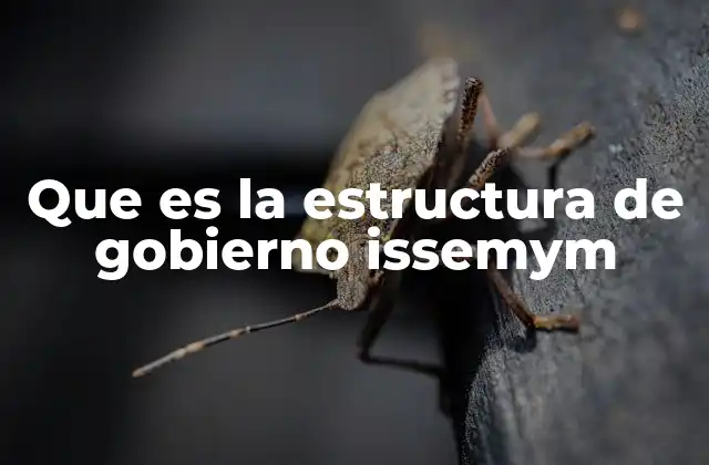 La organización jerárquica del ISSSEM