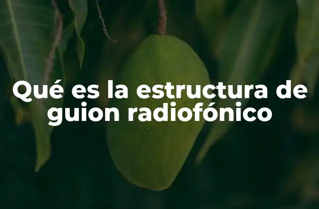 Componentes esenciales de un guion radiofónico