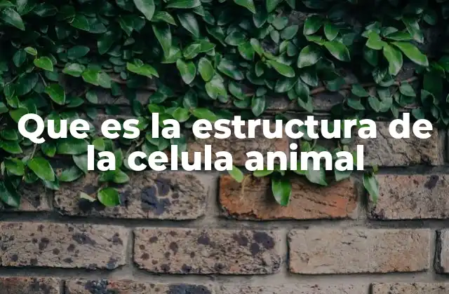 Que es la Estructura de la Celula Animal