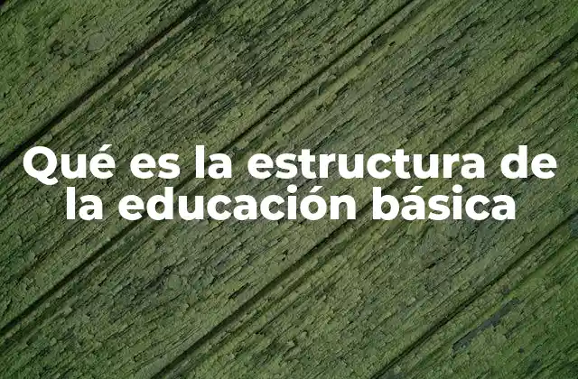 Cómo se organiza el sistema educativo en su etapa inicial