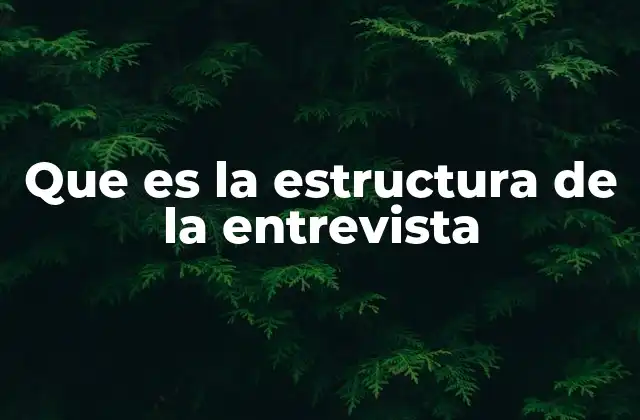 Que es la Estructura de la Entrevista