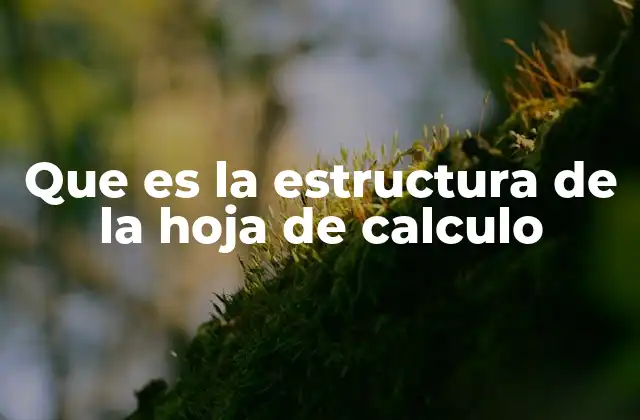 Que es la Estructura de la Hoja de Calculo