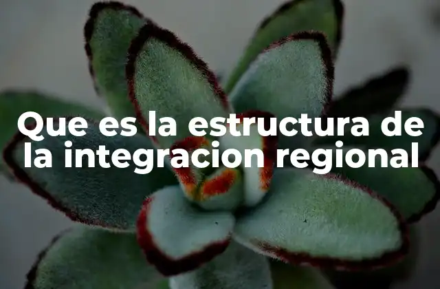 Elementos que conforman una integración regional