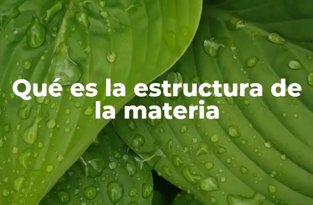 Qué es la Estructura de la Materia