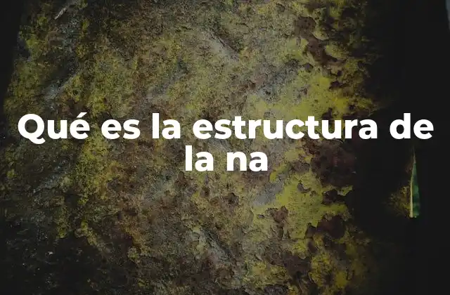 Qué es la Estructura de la Na