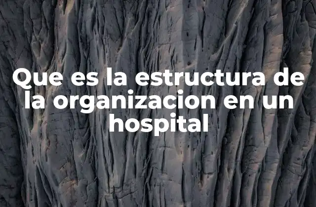 Que es la Estructura de la Organizacion en un Hospital