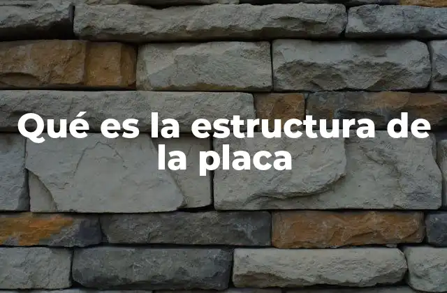 Qué es la Estructura de la Placa