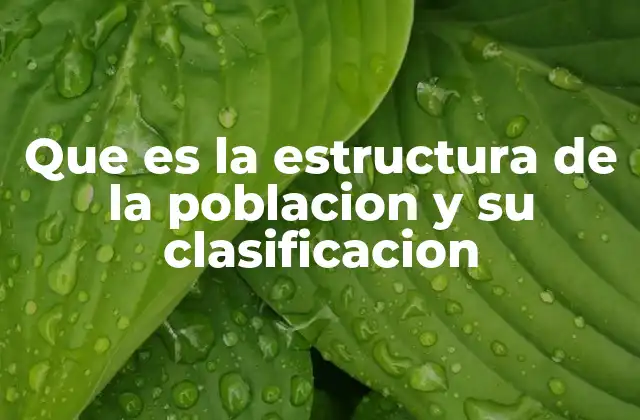 Que es la Estructura de la Poblacion y Su Clasificacion