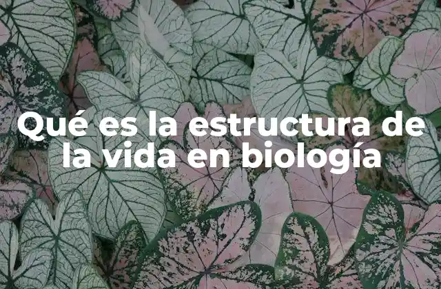 Qué es la Estructura de la Vida en Biología