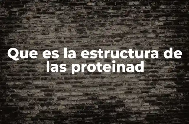 Que es la Estructura de las Proteinad