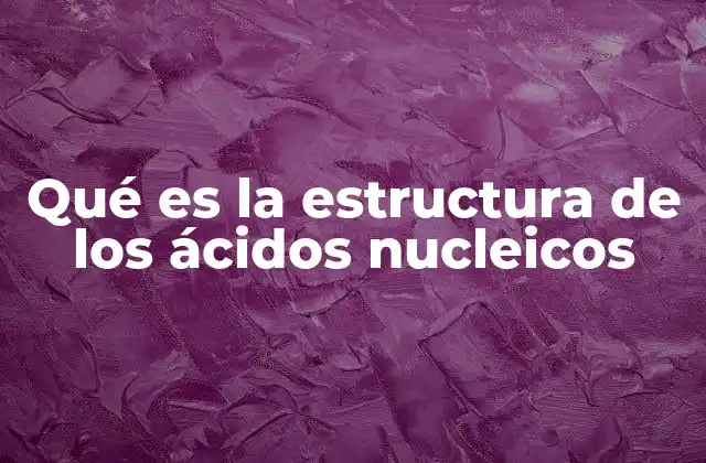 Qué es la Estructura de los Ácidos Nucleicos