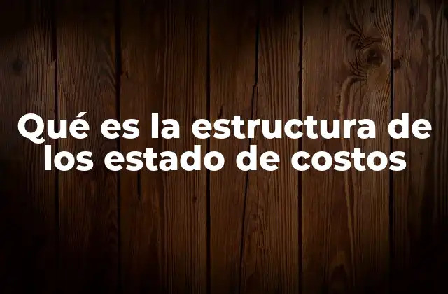 Qué es la Estructura de los Estado de Costos 2 Cómo se organiza la información en un estado de costos