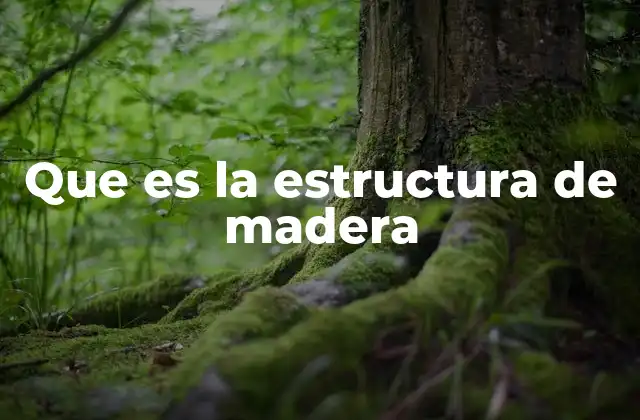 Que es la Estructura de Madera