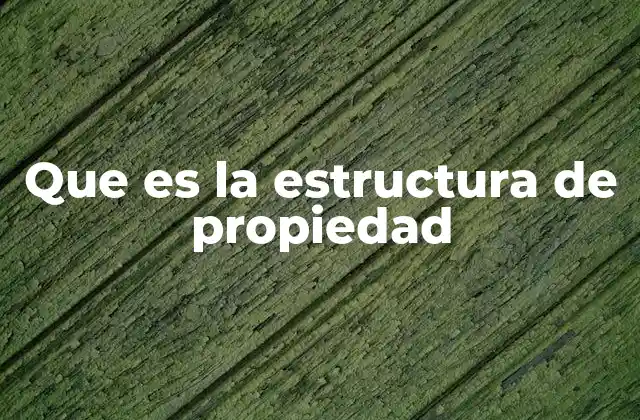 Que es la Estructura de Propiedad 2 Factores que influyen en la estructura de propiedad