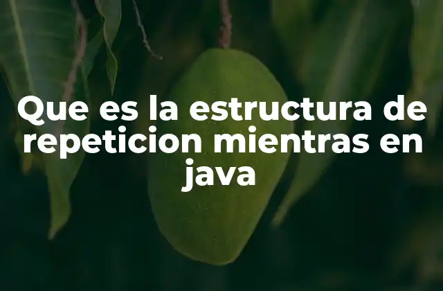 Que es la Estructura de Repeticion Mientras en Java