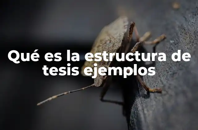 Qué es la Estructura de Tesis Ejemplos