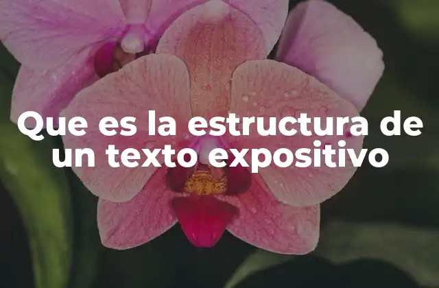 Que es la Estructura de un Texto Expositivo