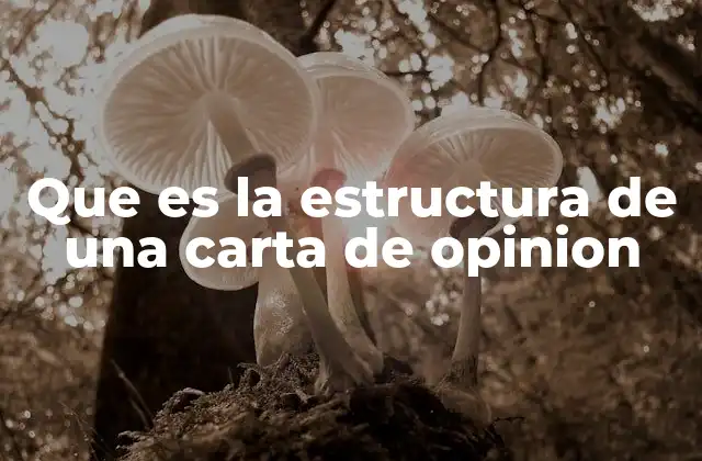 Que es la Estructura de una Carta de Opinion