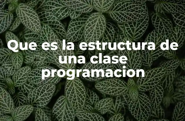 Que es la Estructura de una Clase Programacion