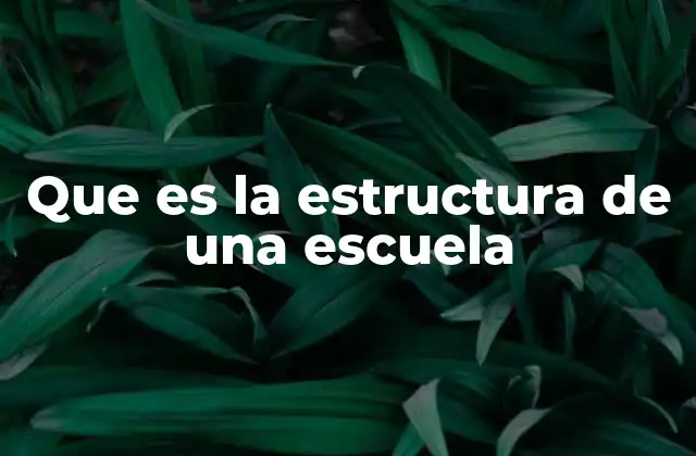 Que es la Estructura de una Escuela