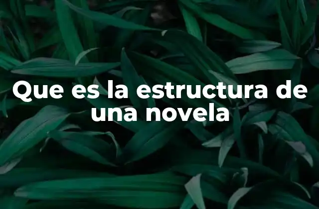 Que es la Estructura de una Novela