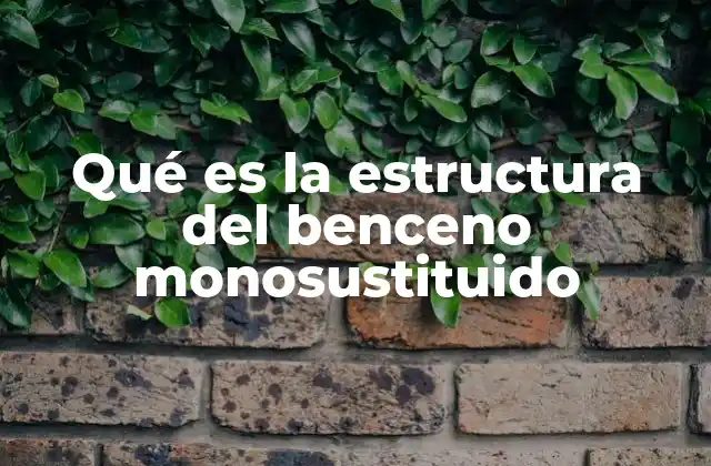 Qué es la Estructura Del Benceno Monosustituido