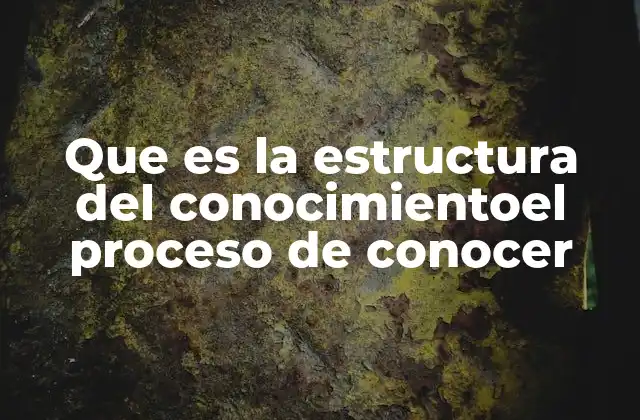 Que es la Estructura Del Conocimientoel Proceso de Conocer