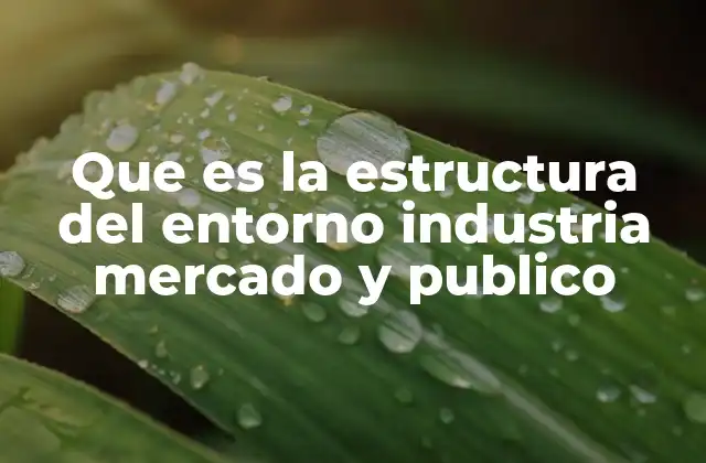 Que es la Estructura Del Entorno Industria Mercado y Publico