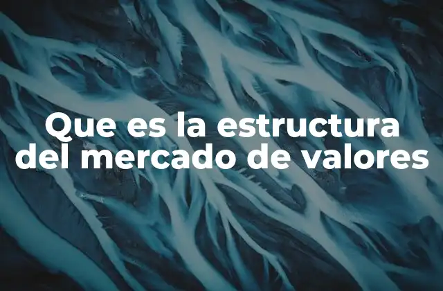 Que es la Estructura Del Mercado de Valores
